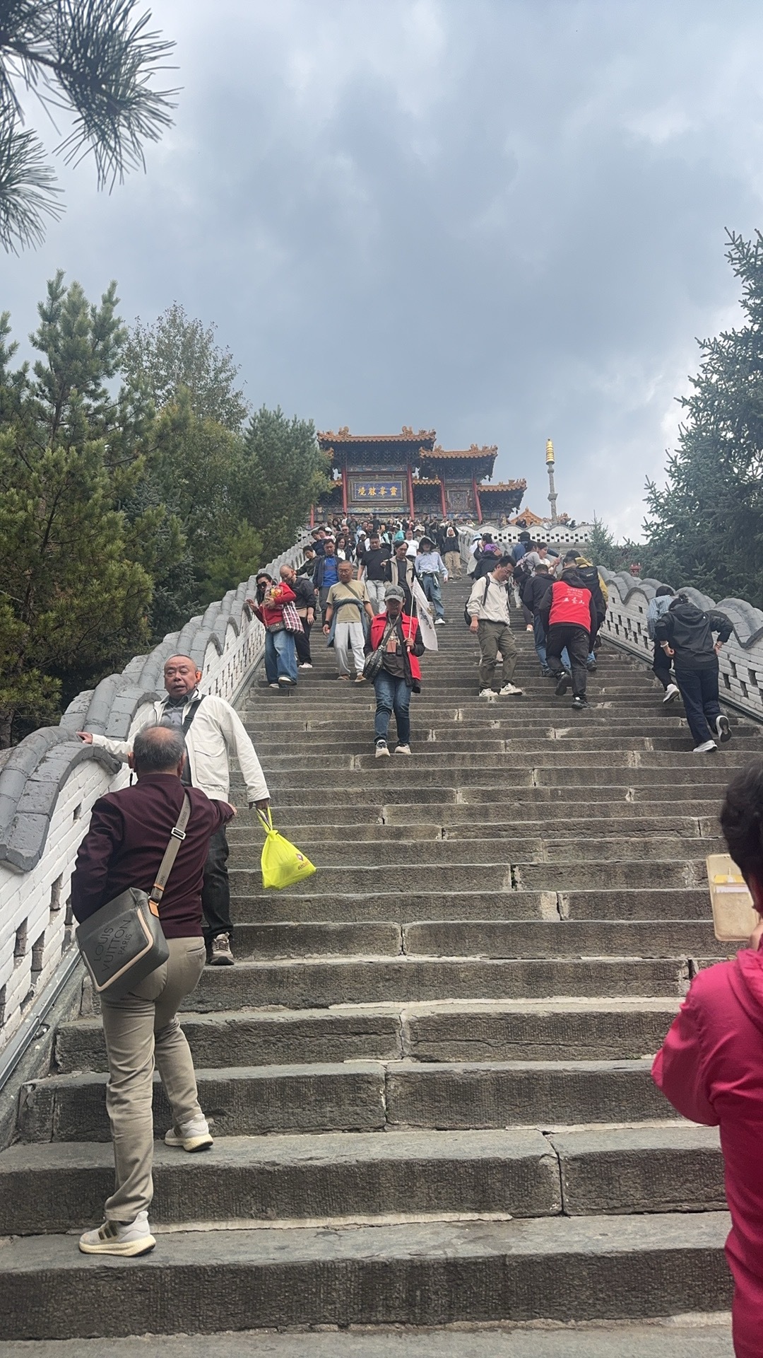 困兽犹斗！革卫队必将退出历史舞台。。。中东局势 ​​​