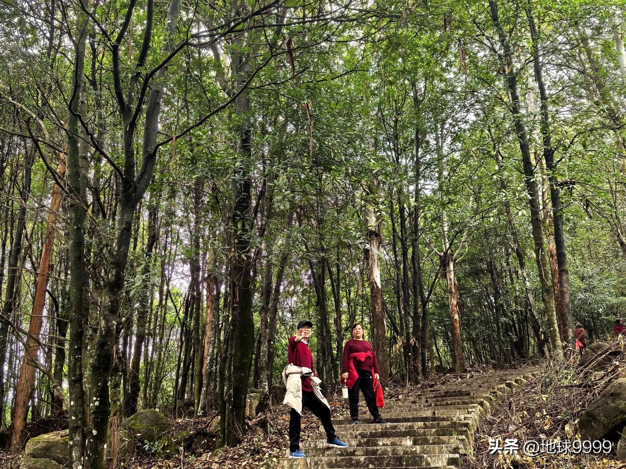 尝试用上DeepSeek，看看有什么惊喜。

帮我润色一下：长相思·登天马山
