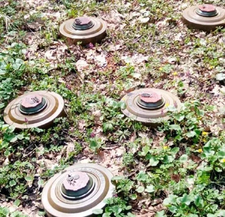 东欧国家边境可能成为一堵地雷墙

记得上世纪60年代末，我们国家为了防御在我国边