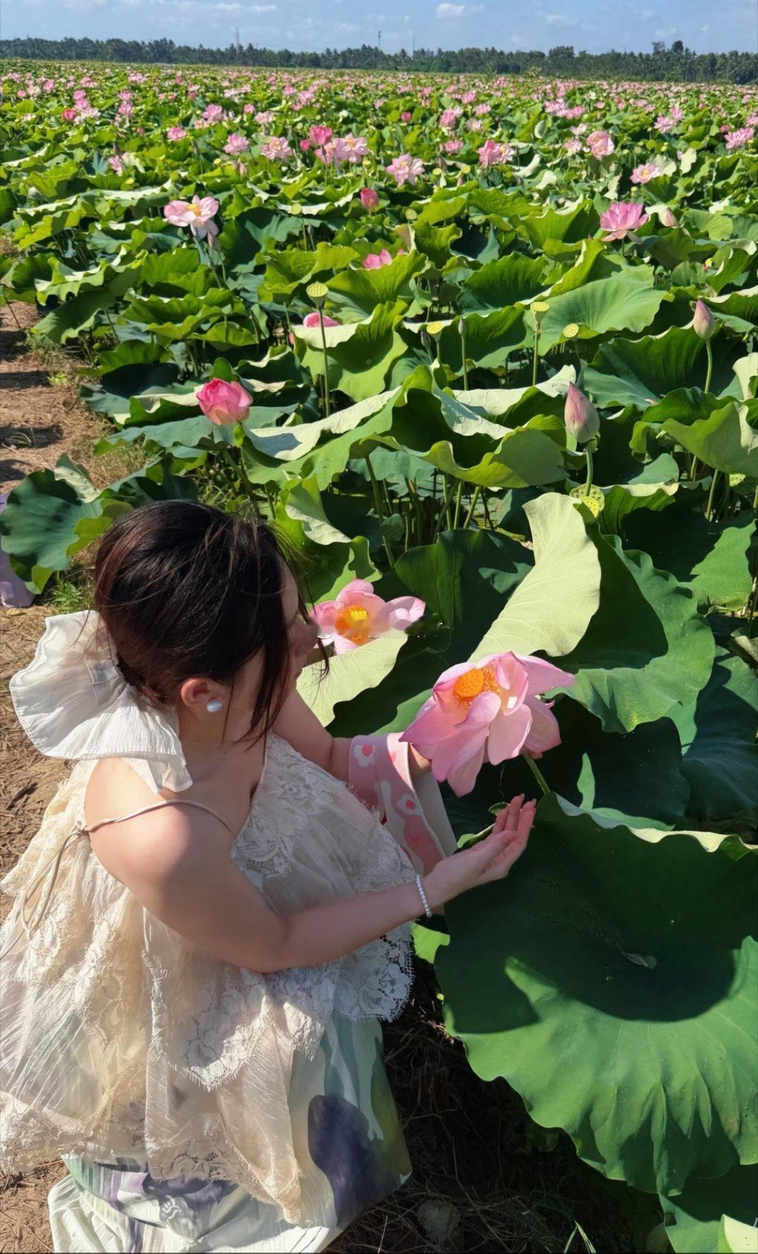 夏日炎炎出门，今天来看美美的荷花！就问你，站在花丛中的靓女美不美荷花荷花夏日装扮