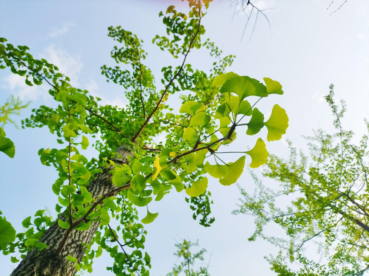 作为92年的老阿姨，算是人到中年了吧，按理来说应该是奋斗的年纪，我每天都会看一些
