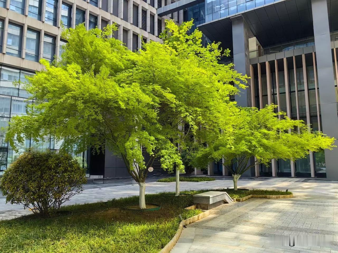 【小对联】
上：游戏；
下：……？