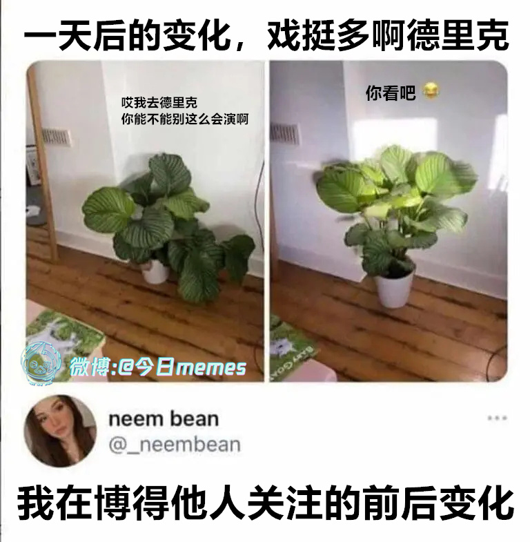 真要不行了（9gag）今日meme今日memes