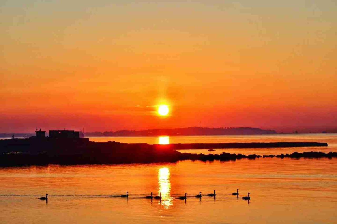 我的今日状态：😁轻松愉快
我这里的天气：🌤️多云
早起的鸟儿有虫吃，早起的人