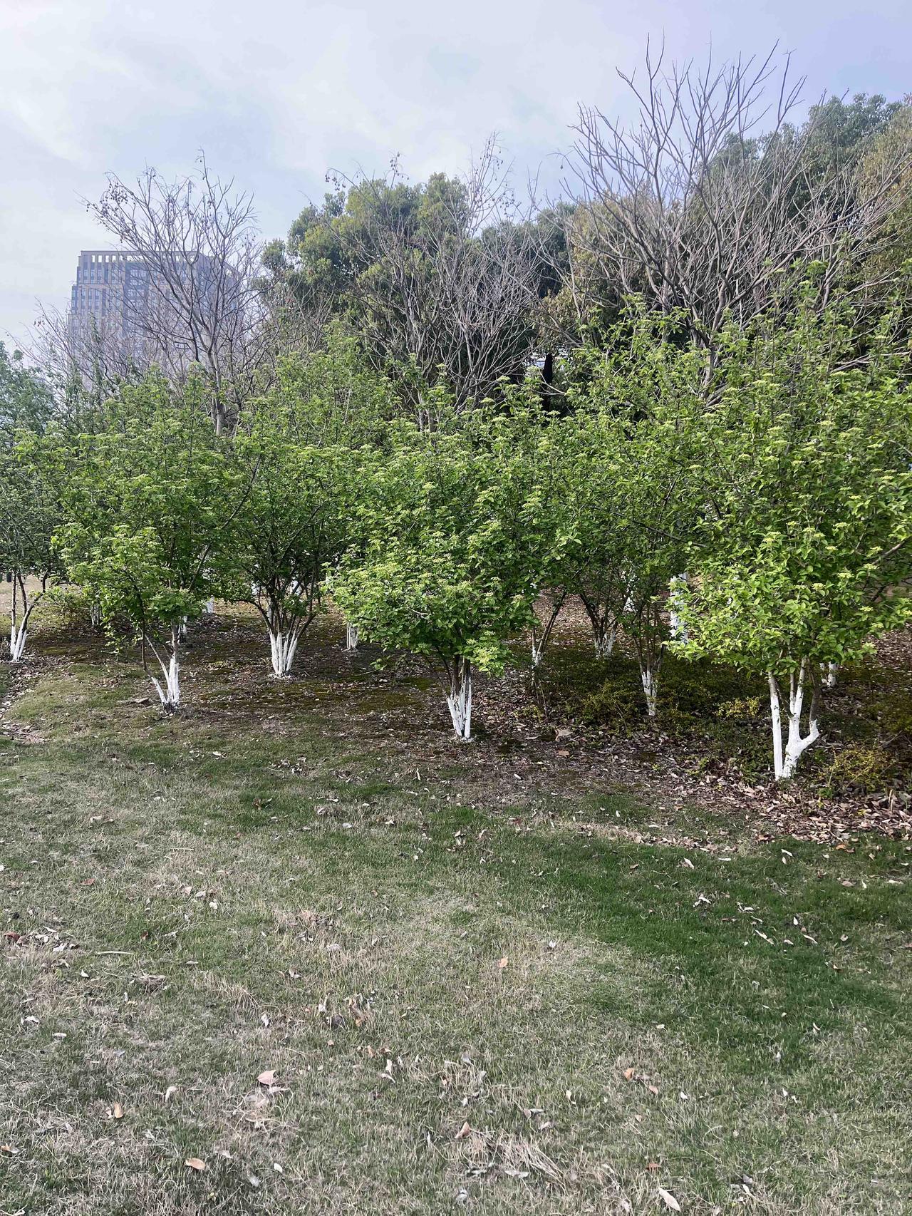 据说目前最高级的养生就是这九个字，
少琢磨，多闭眼，别折腾，比啥灵丹妙药都强：