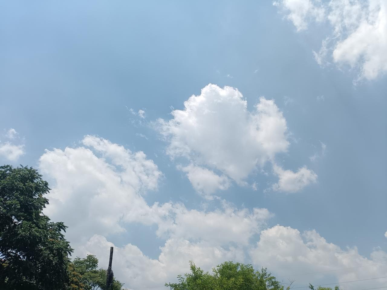 晴蓝的天空中，大朵蓬松的白云悠然舒展，像撒了一把棉花糖。