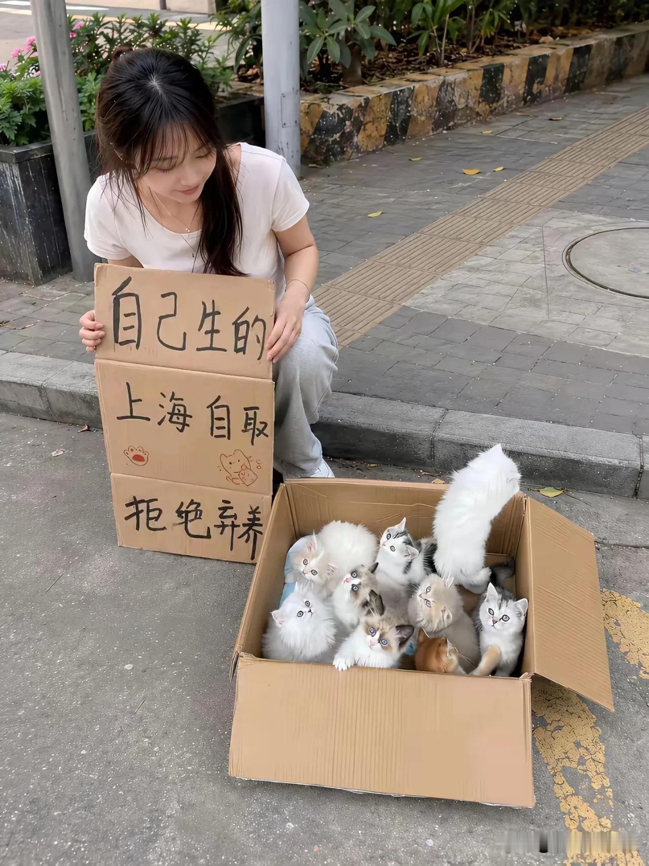 小妹纸太可爱了，小猫肯定很听话