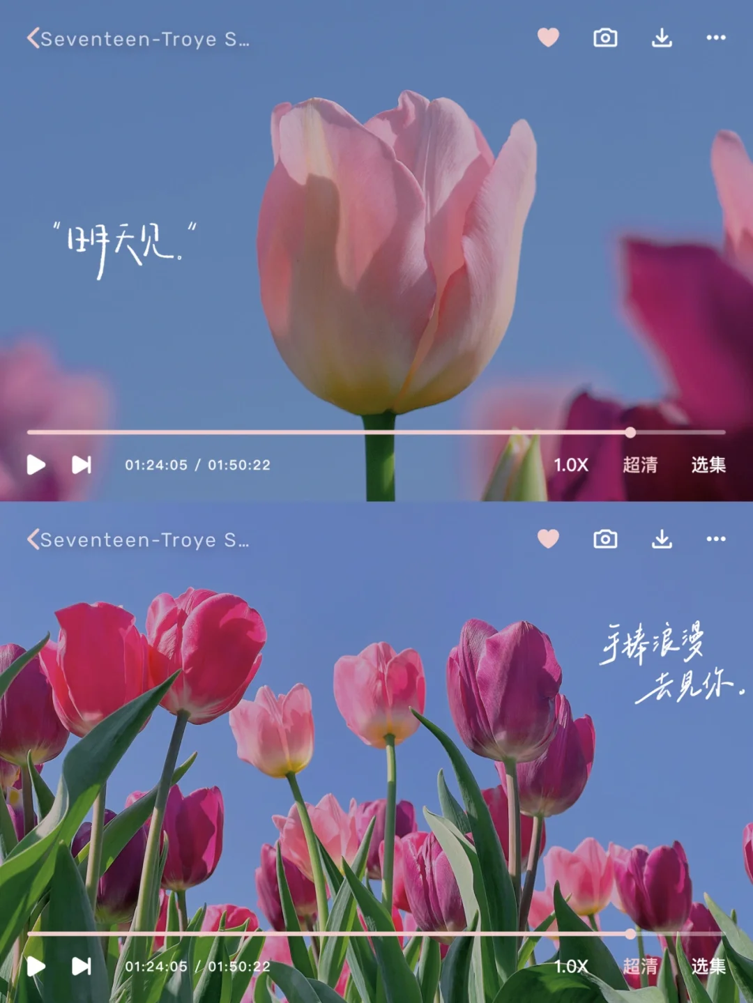 手机调色✨MV电影截图郁金香滤镜🌷拯救废片❗