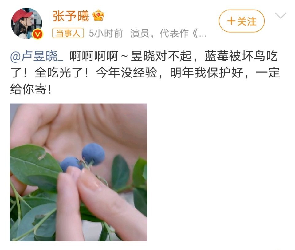 张予曦 卢昱晓对不起两位都好可爱 ​​​