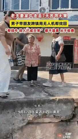 四川南充一对老人家里的牛走丢了，寻找了7天都没有找到，由于这只牛对老人来说非常重
