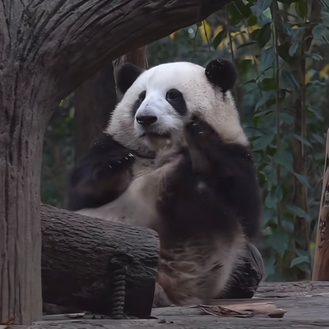 啃臭的小花🤏 ​​​