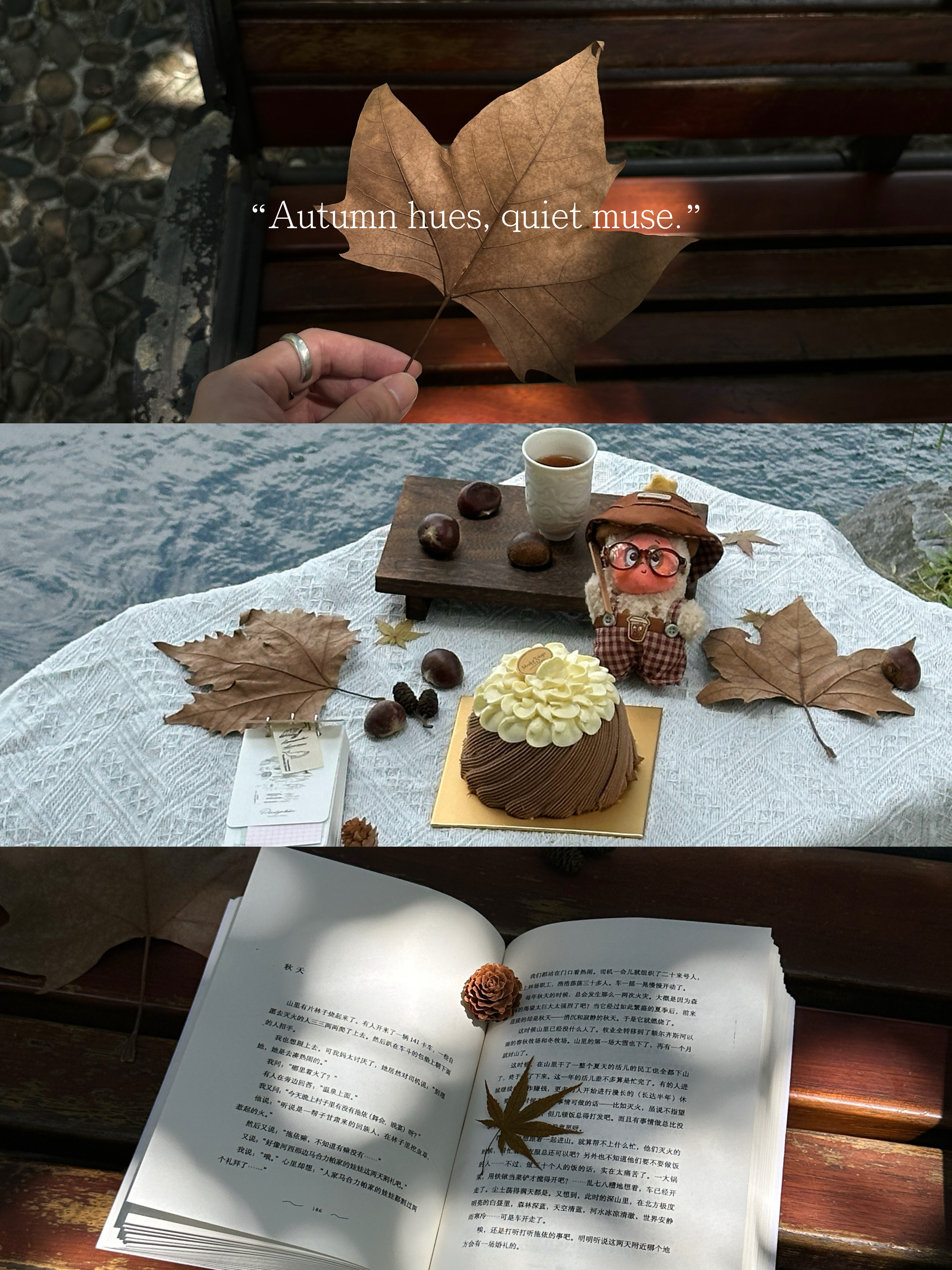 一口栗子香，是秋日的序章⋆⁺⋆🍂🍰🌰午后阳光疏疏落落洒下斑驳树影脚下是稀稀