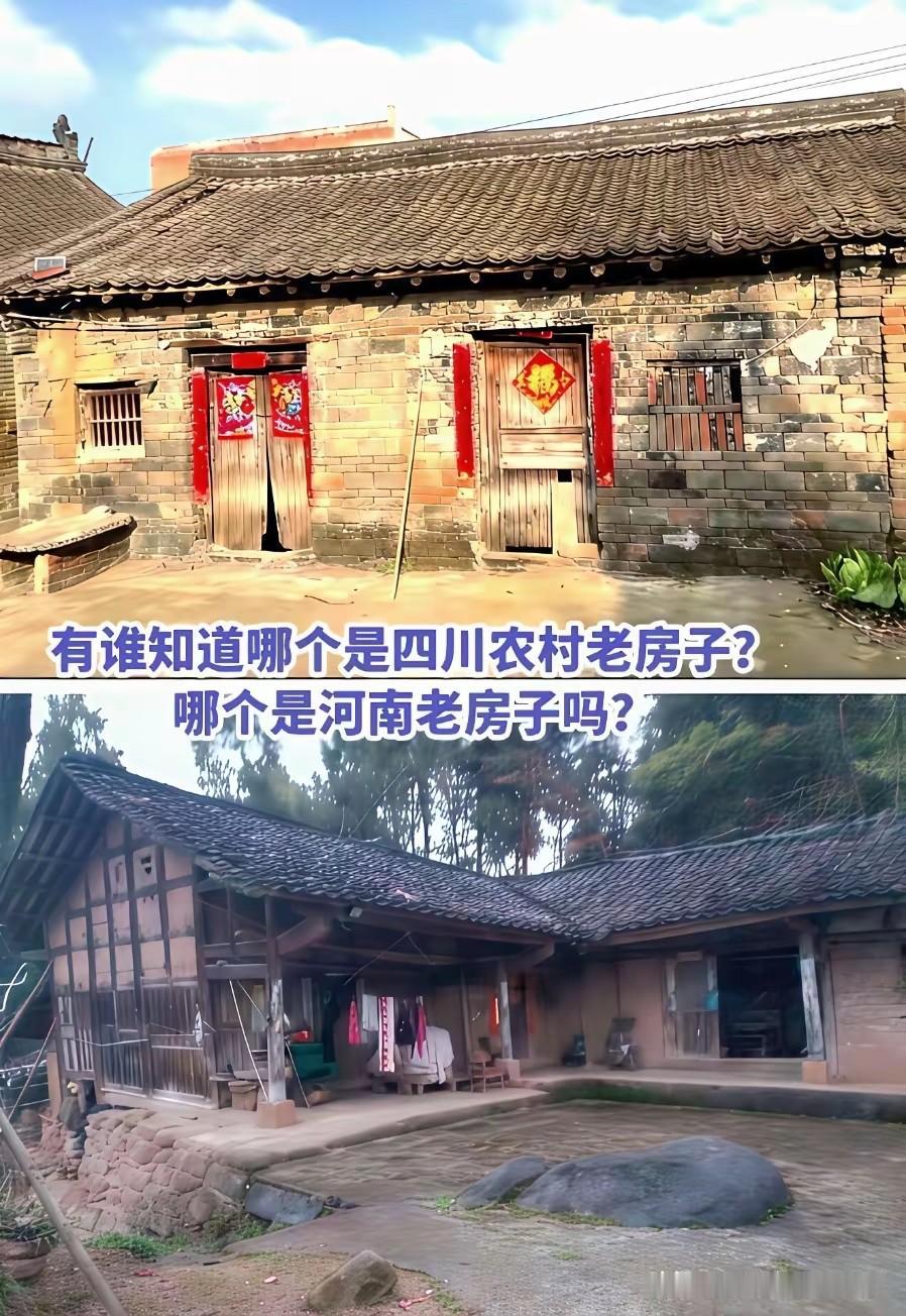 我敢打赌，90%的人分辨不出来，实话实说而已！