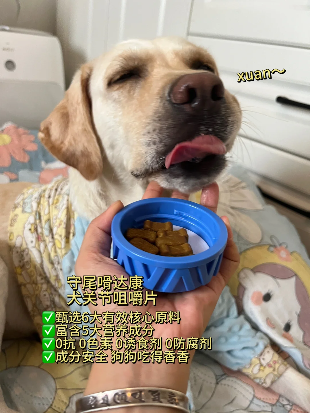 看我顶顶神功 五岁的小狗活力满满！