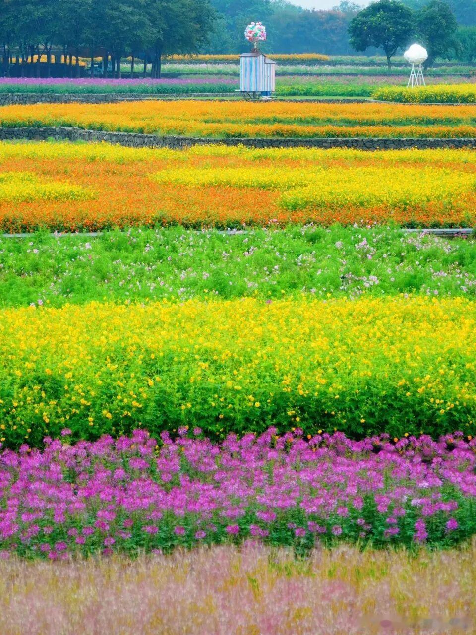 早安☀️山里、湖畔、古村，很多治愈的风景，都藏在慢节奏里。近期整理了不少适合一家