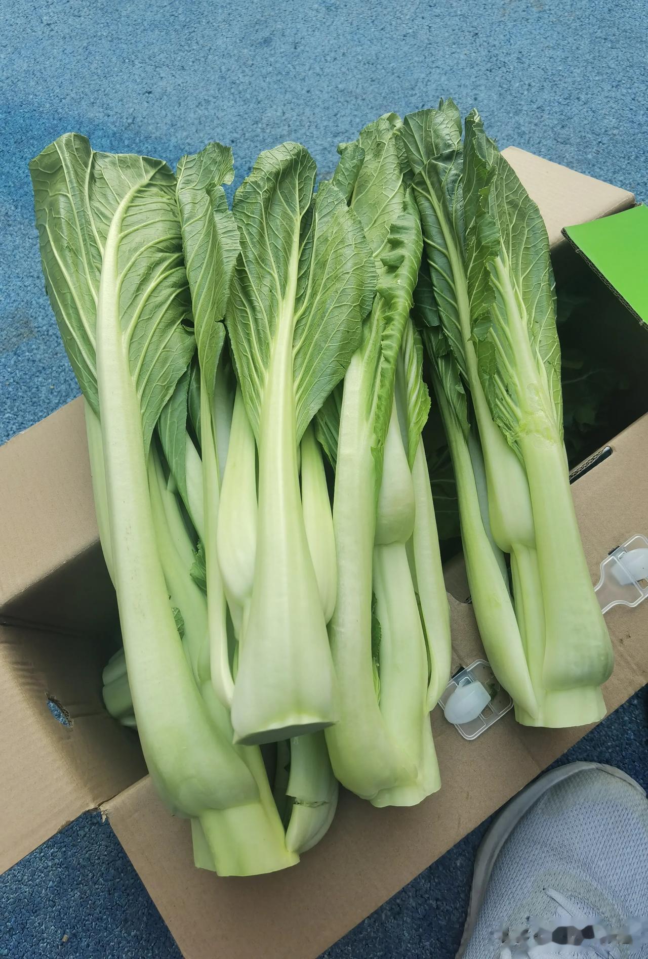 可以生吃的连州菜心，每年都会买点，你们吃过吗？