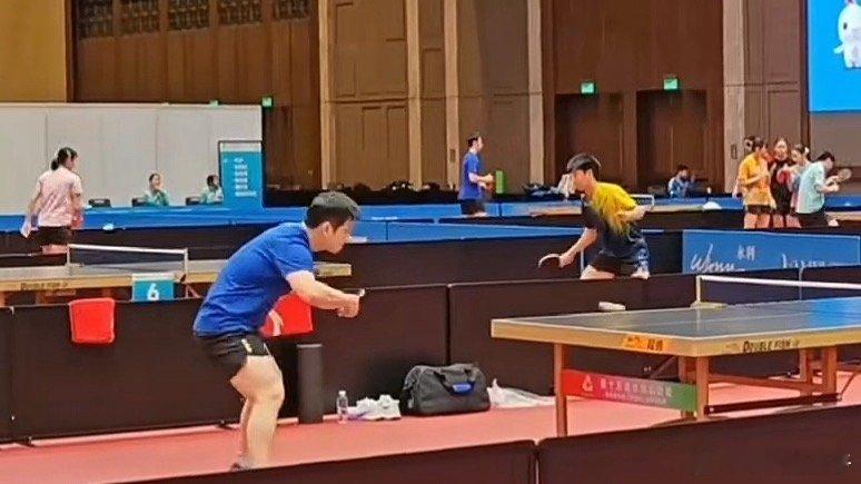 樊振东周启豪全运会对练手感太好了 几乎击球点就是最高点 ​​​