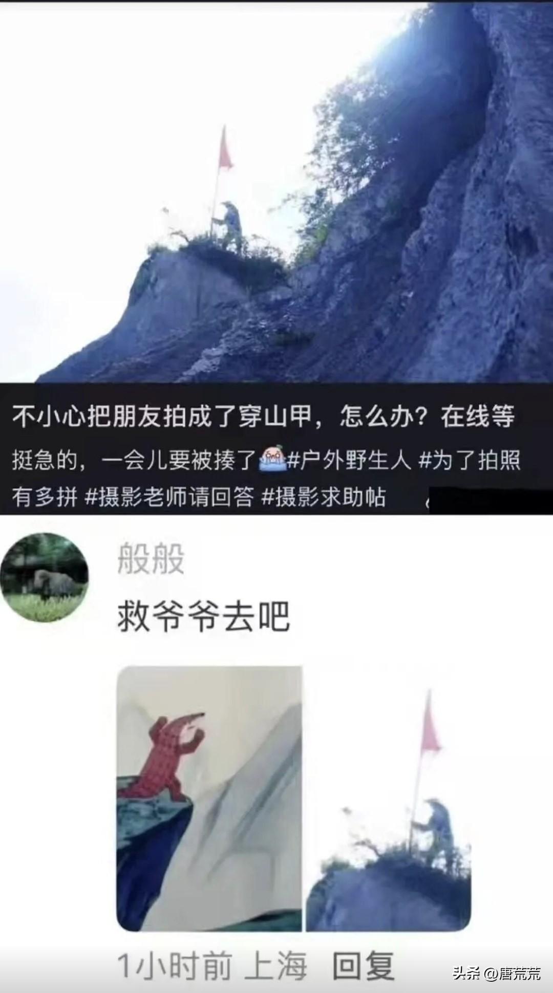 你就放一张穿山甲，也不把你朋友照片放出来让我们怎么评判！