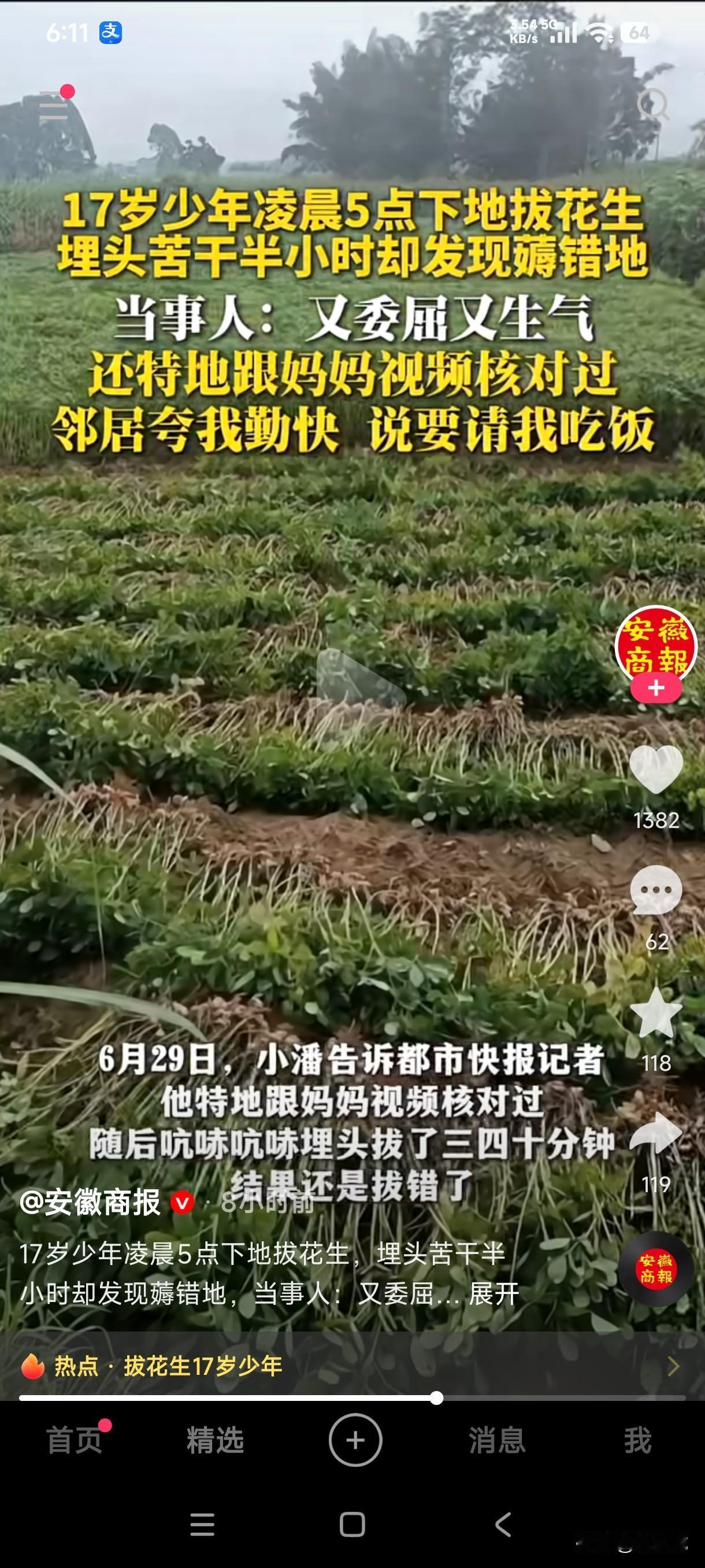 广西贵港一17岁小伙凌晨5点下地拔花生，吭哧吭哧埋头苦干半小时后发现薅错地，他既