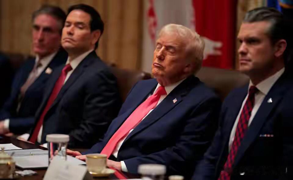 纽森写道：
“瞌睡唐正忙着打瞌睡”