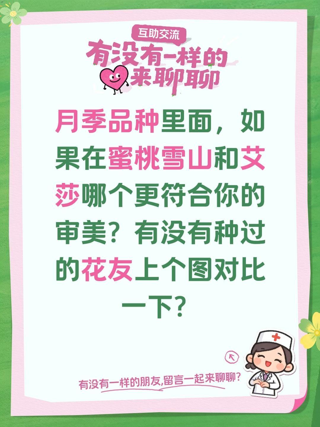 蜜桃雪山和艾莎哪个更好看？月季品种里面，如果在蜜桃雪山和艾莎哪个更符合你的审美？