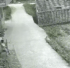 驾驶三轮车的女人，你是没考驾照就上路了吧，倒车可以，怎么不会刹车呢，自己从车上跳