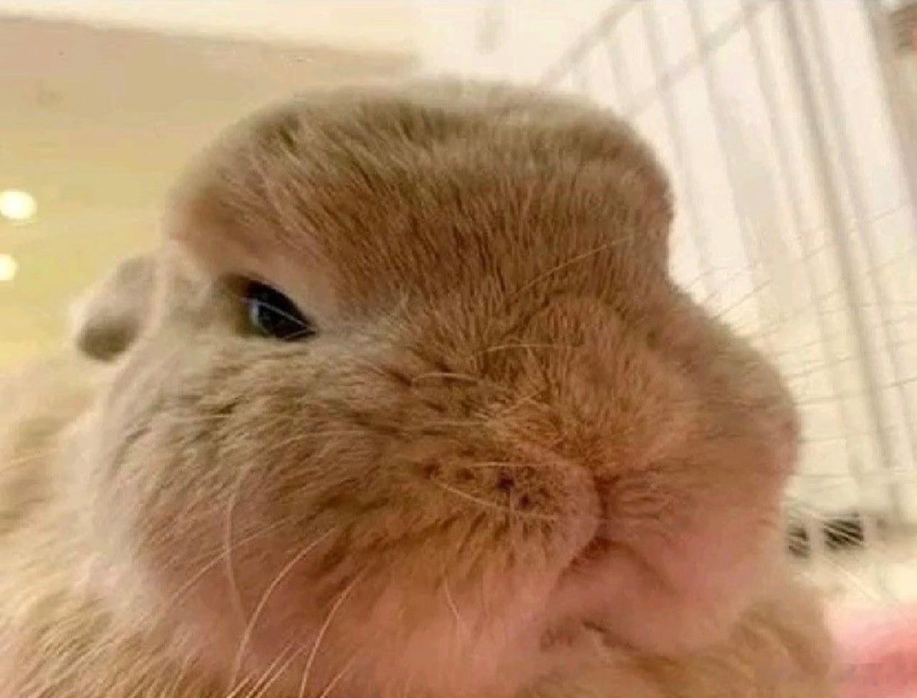生胖气中 