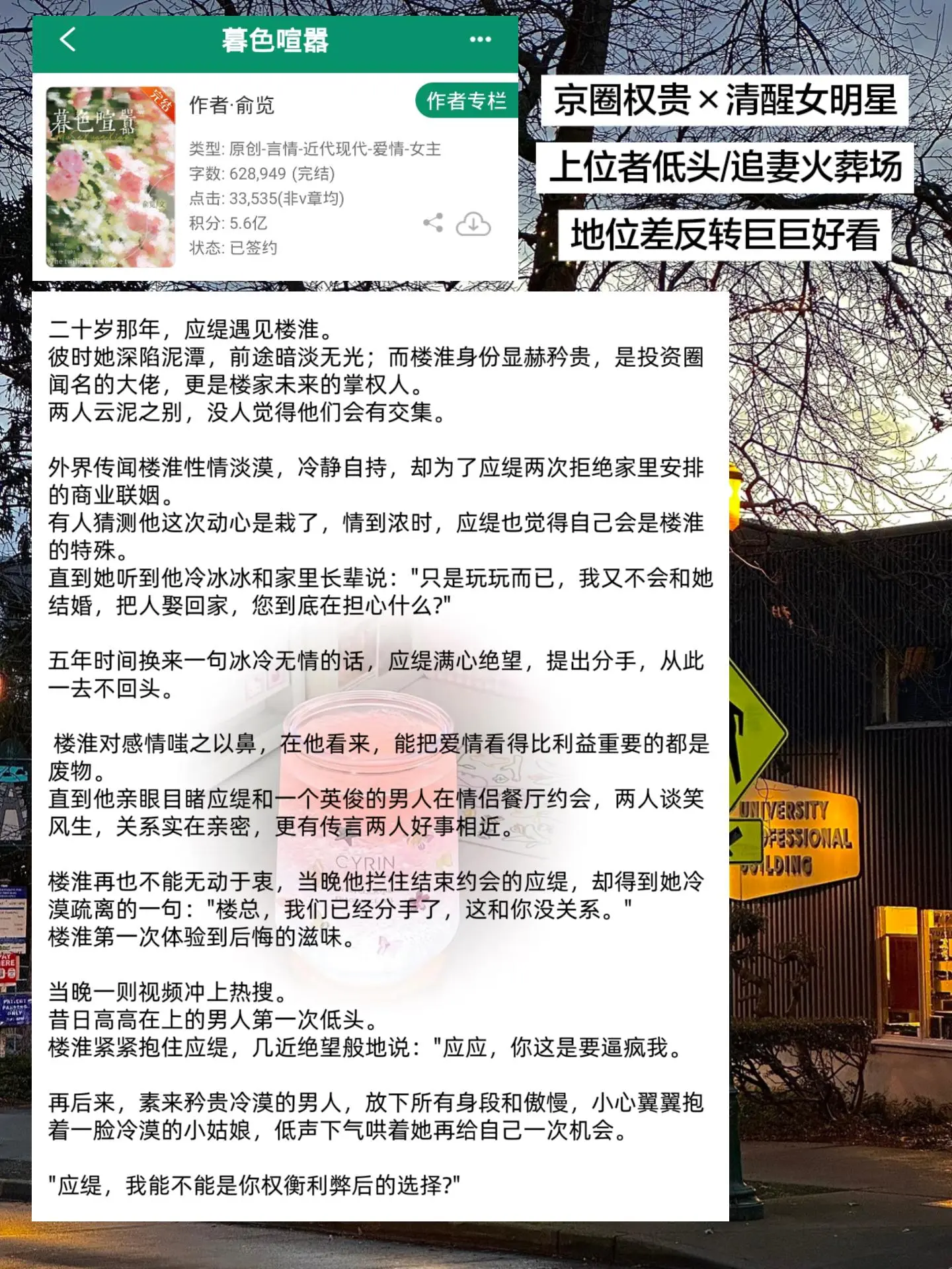 男主追妻火葬场，真的很好看！