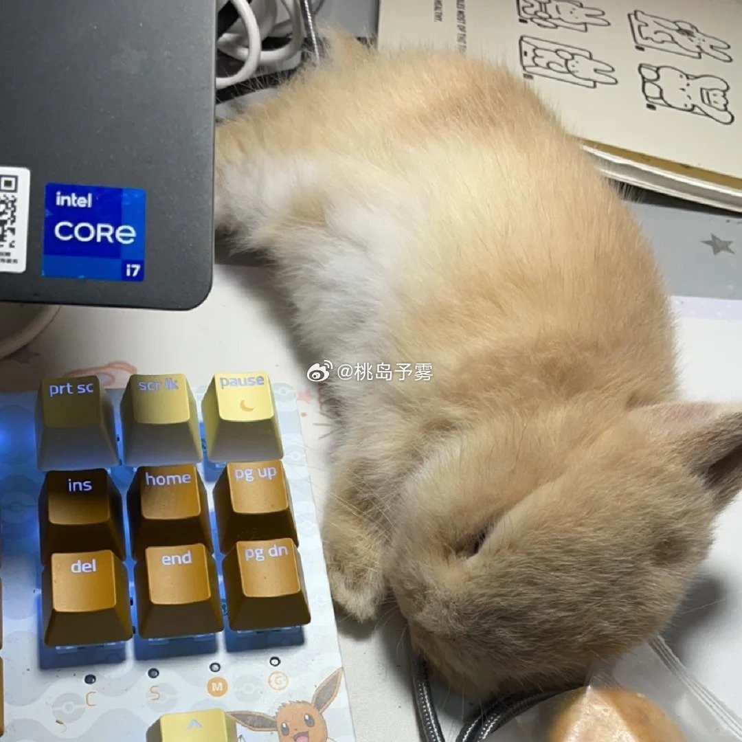 加班累到不自觉睡着的小程秀会被邵群一把公主抱回主卧 