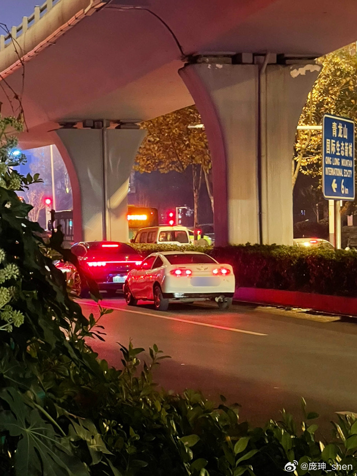 Is that a Supra？[二哈] ​​​