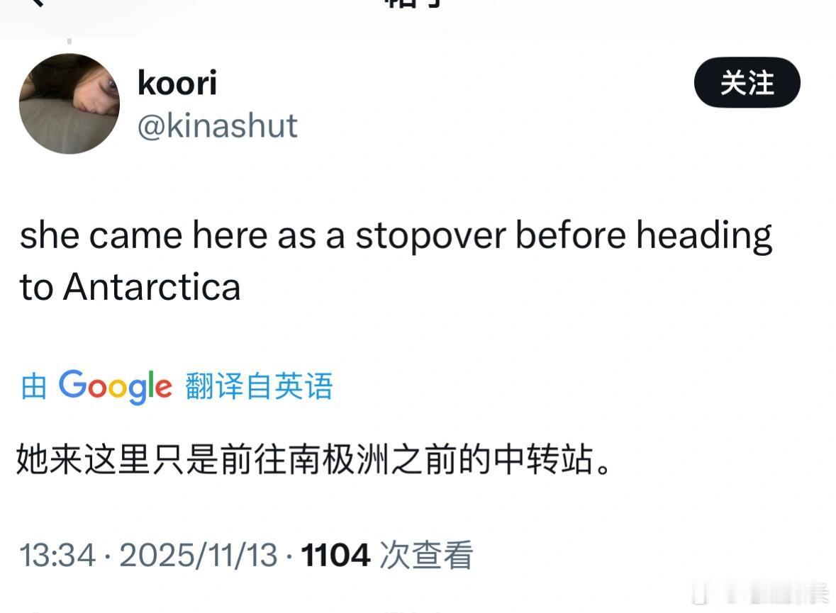 hanni在南极，怎么也没想到是她