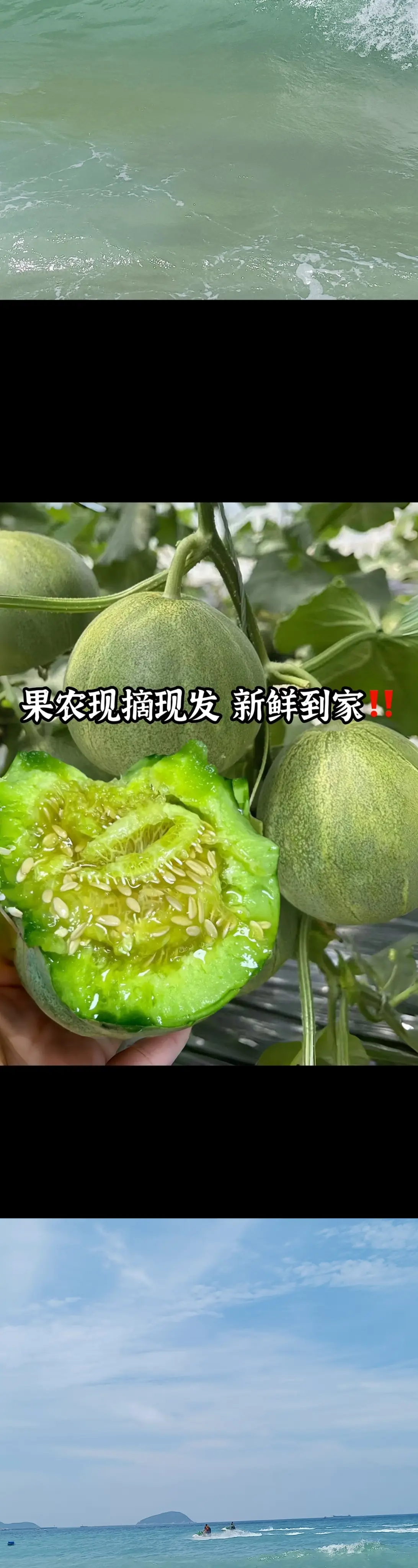 随手买的绿宝石甜瓜🍈，真的巨好吃😋！一打开满屋飘香，一口爆汁，脆甜...
