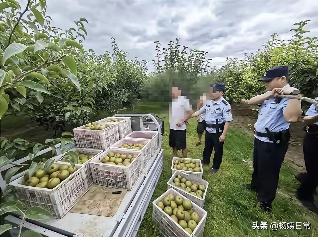 想不劳而获，侵占别人的劳动果实，这无疑是强盗。这个行为也太不应该了吧？

一名男