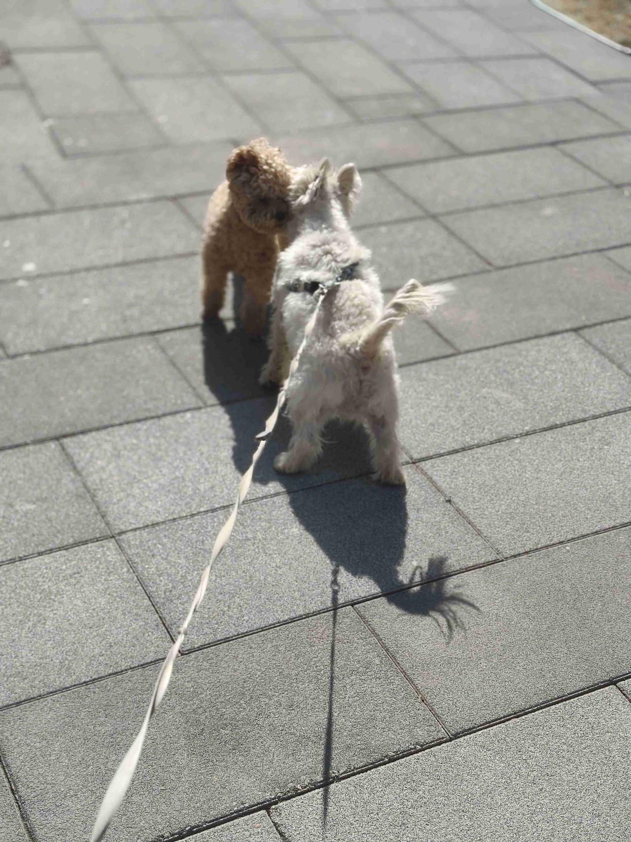 我的今日状态：😁轻松愉快
我这里的天气：☀️晴天