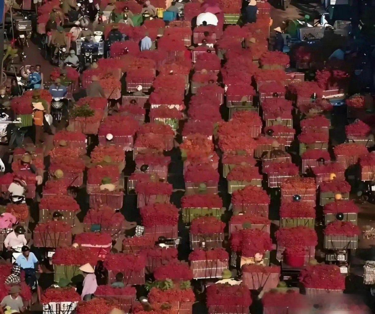 都要烂大街了，为什么还不肯降价呢？ ​​​