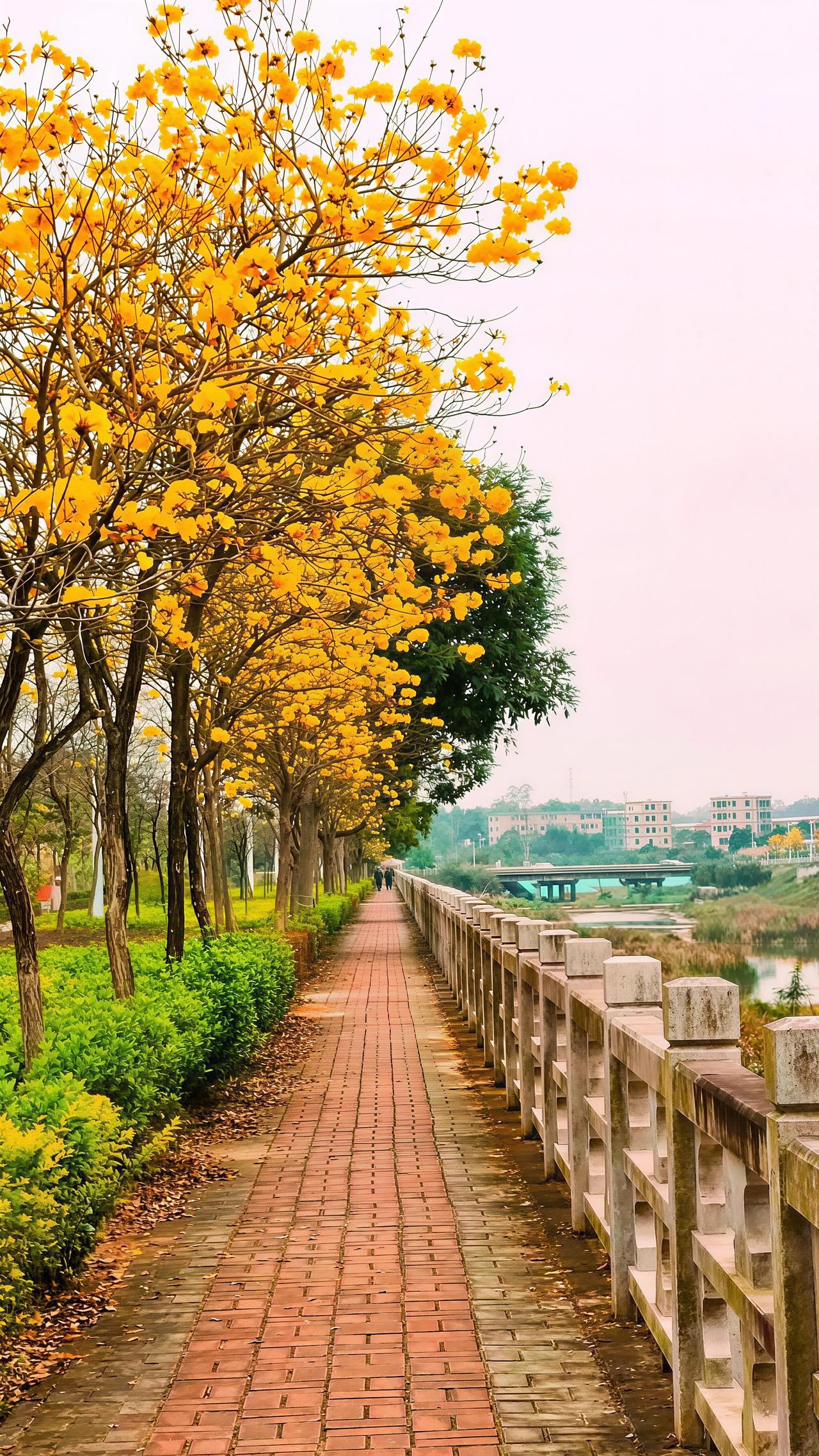 人都是这样的，花钱买教训，主要是花钱买来的东西才是珍惜，不花钱买来的东西，除了不