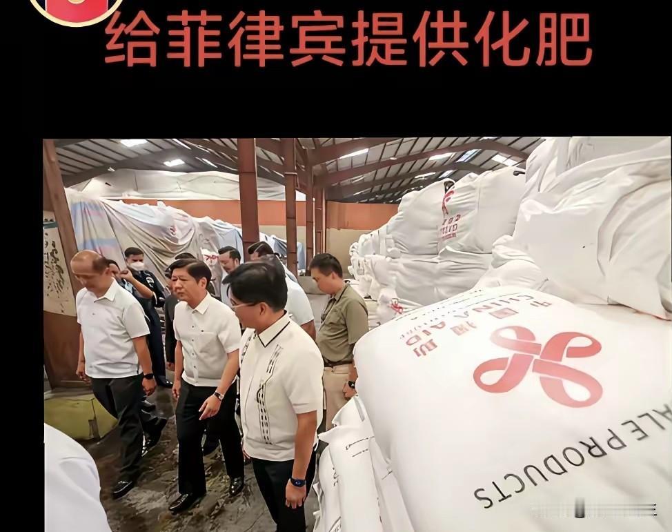 在菲律宾人眼里日本人是世界的模范公民。