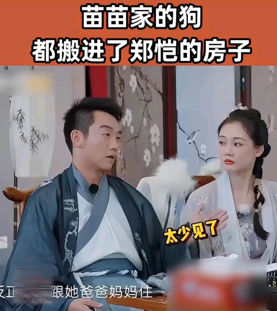 郑恺在节目里说他和岳父岳母一起住。苗苗赶紧解释说，她妈是过来帮她照顾孩子。郑恺说