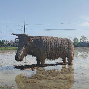 三农禾本多