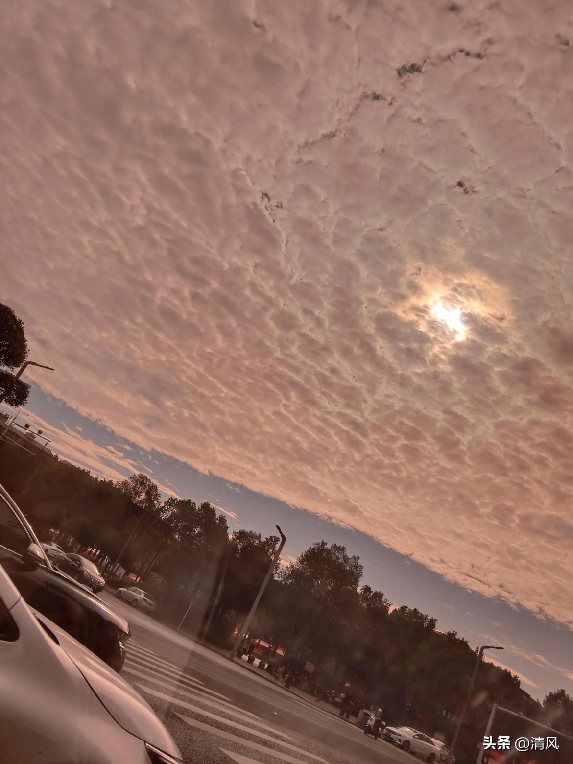 刚等红灯抬眼一瞧，这天也太会“装”了吧！

粉乎乎的云裹着太阳，像蒙了层柔光滤镜