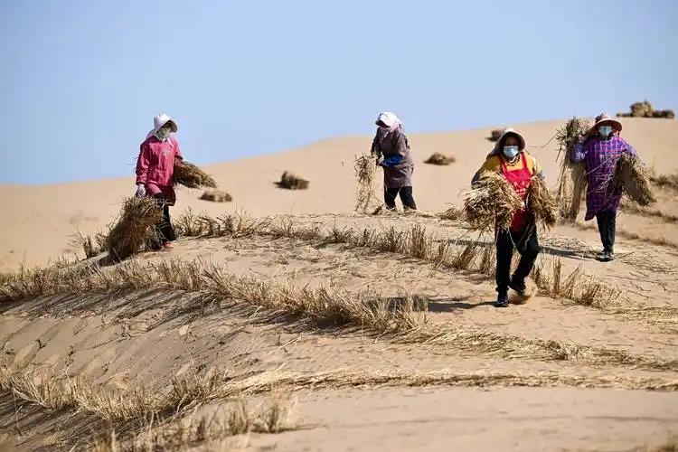 为什么现在要大规模的治理塔克拉玛干大沙漠，一个33万平方公里区域。因为以色列可以