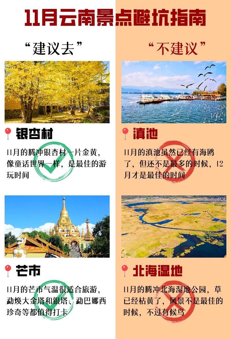 11月去云南景点避坑指南