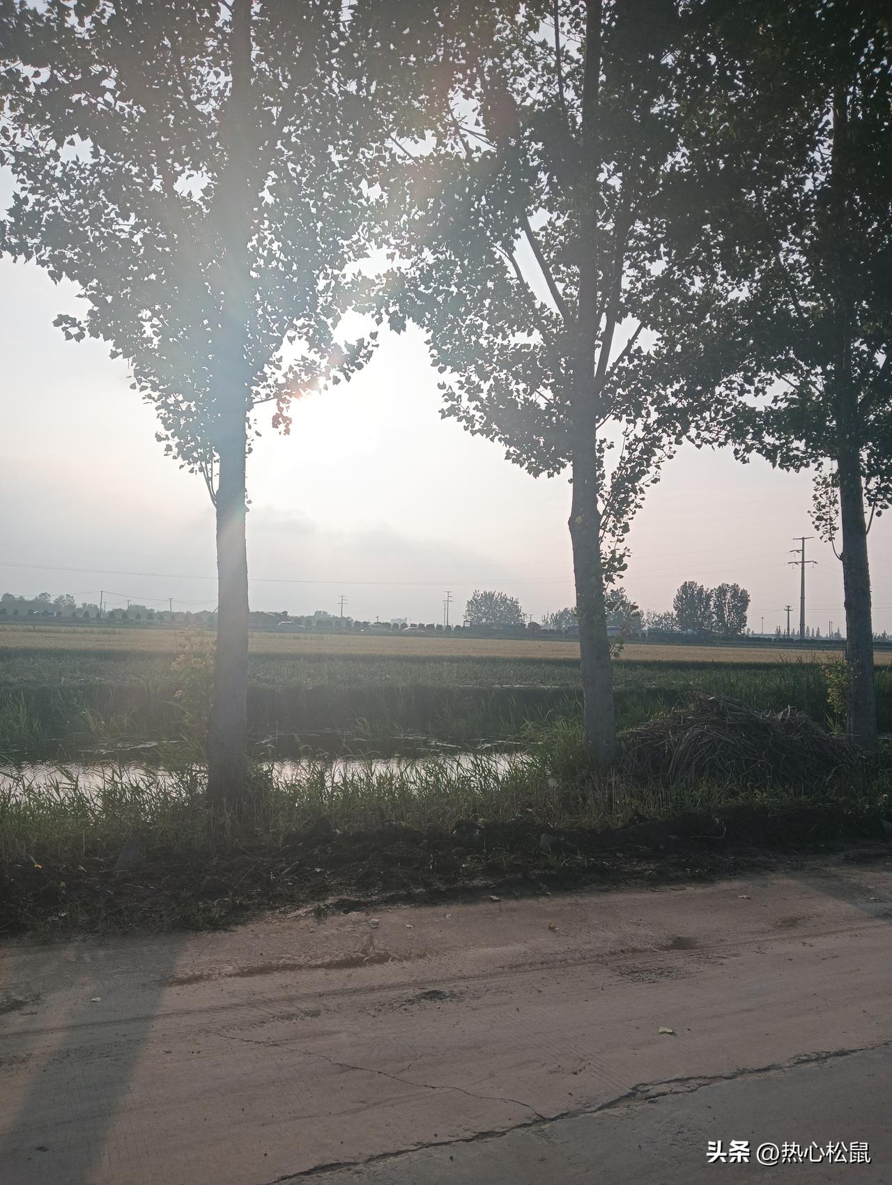 夕阳下的田野，真的是静谧又美好。
想象一下，驱车在乡间公路，抬眼就是一场绝美日落
