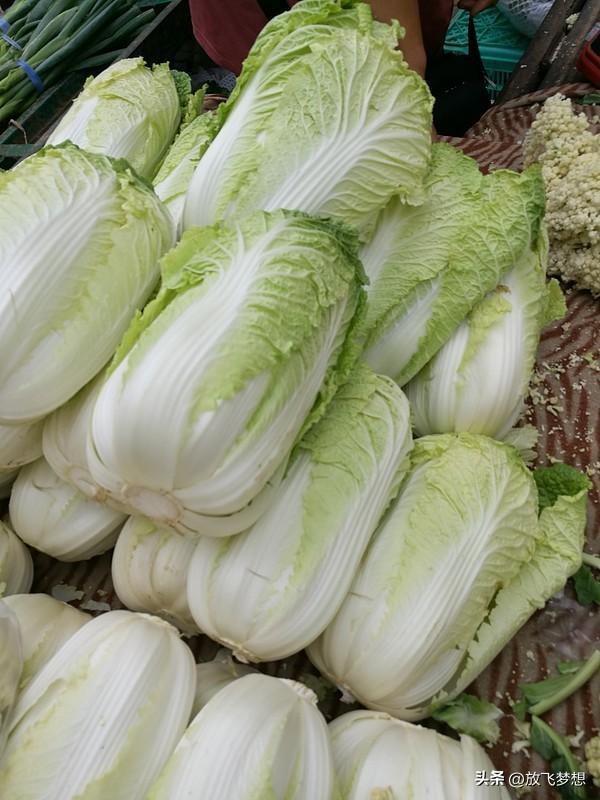 香港的白菜安全管控真的是把细节拉满了。
本地种植规模很小，市面上流通的白菜几乎全