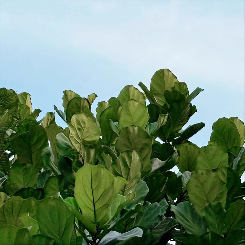 同一天2条消息   是关于云南锡业集团原官员的
 
11月26日17:30，2条