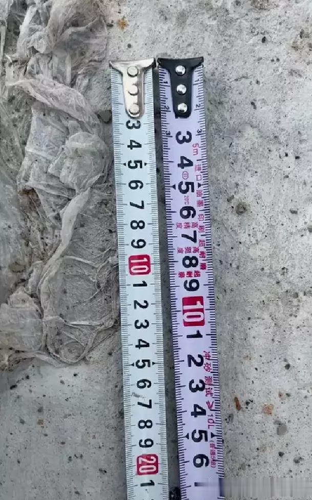 把我害惨了，国际标准，国际标准，这到底哪把才是国际标准的尺子呀