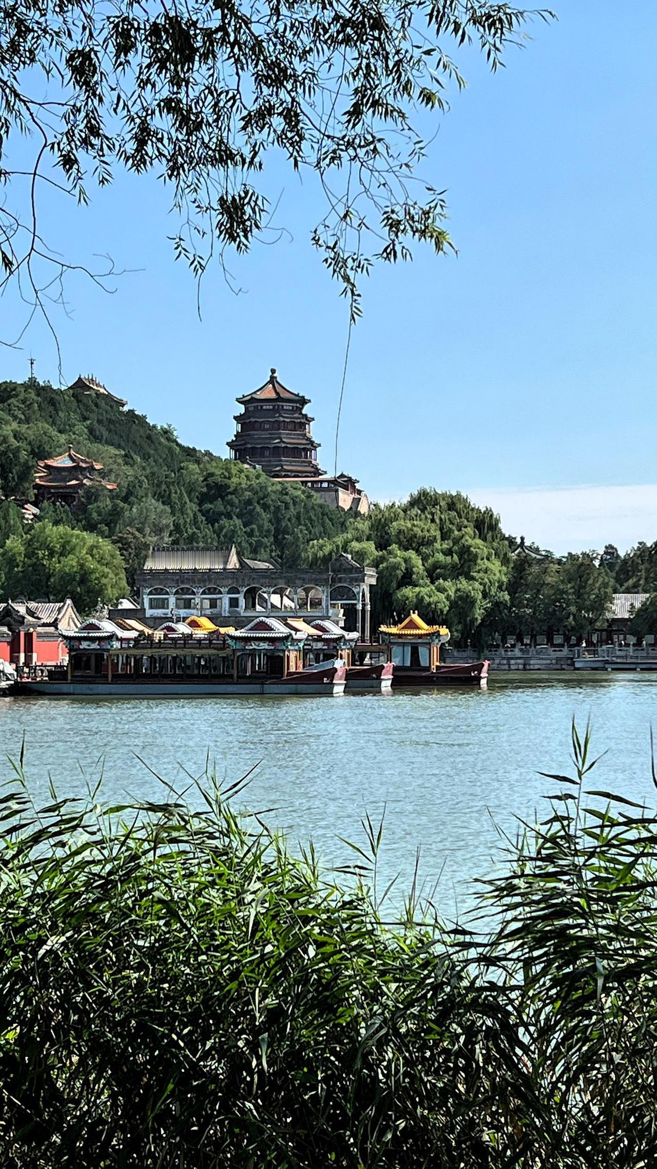 分享一张最近随手拍的照片