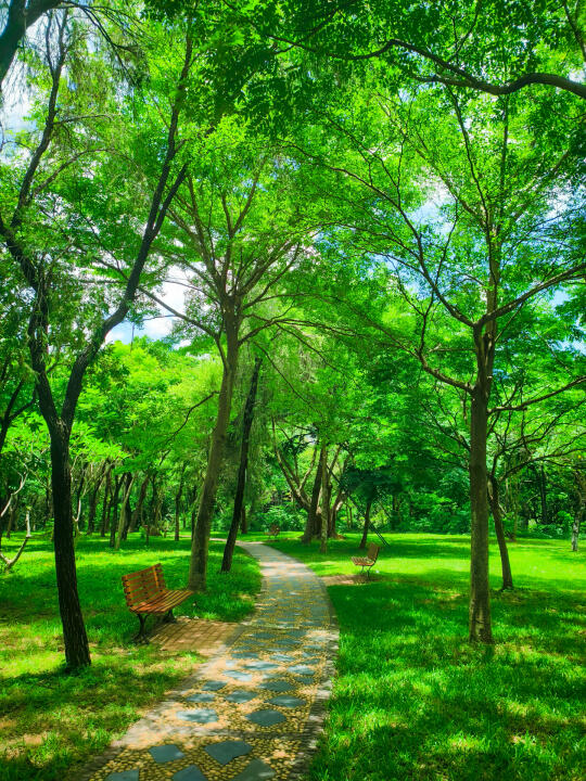 夏天来深圳这个公园绿道消暑，超舒服🌿
