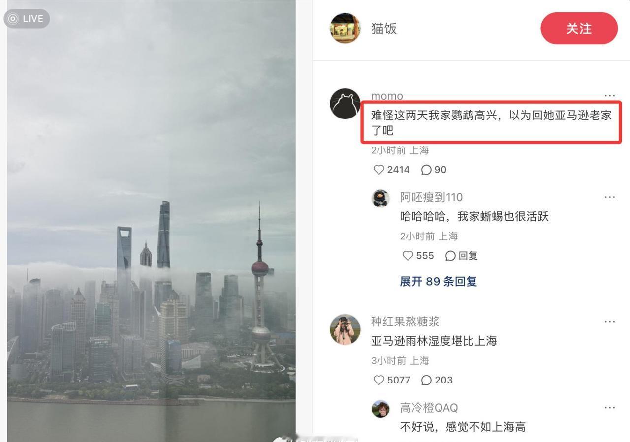 哈哈哈哈上海这么湿润吗 ​​​