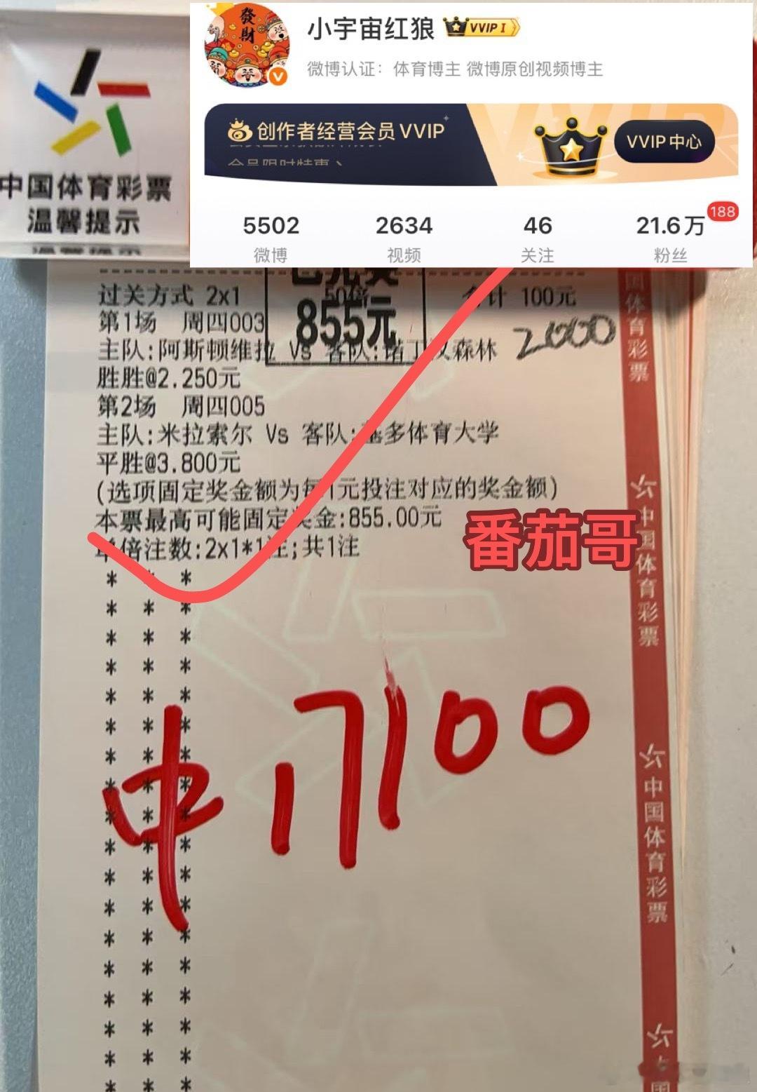 番茄哥番茄寓意红红火火